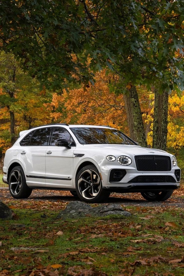 The Bentley Bentayga